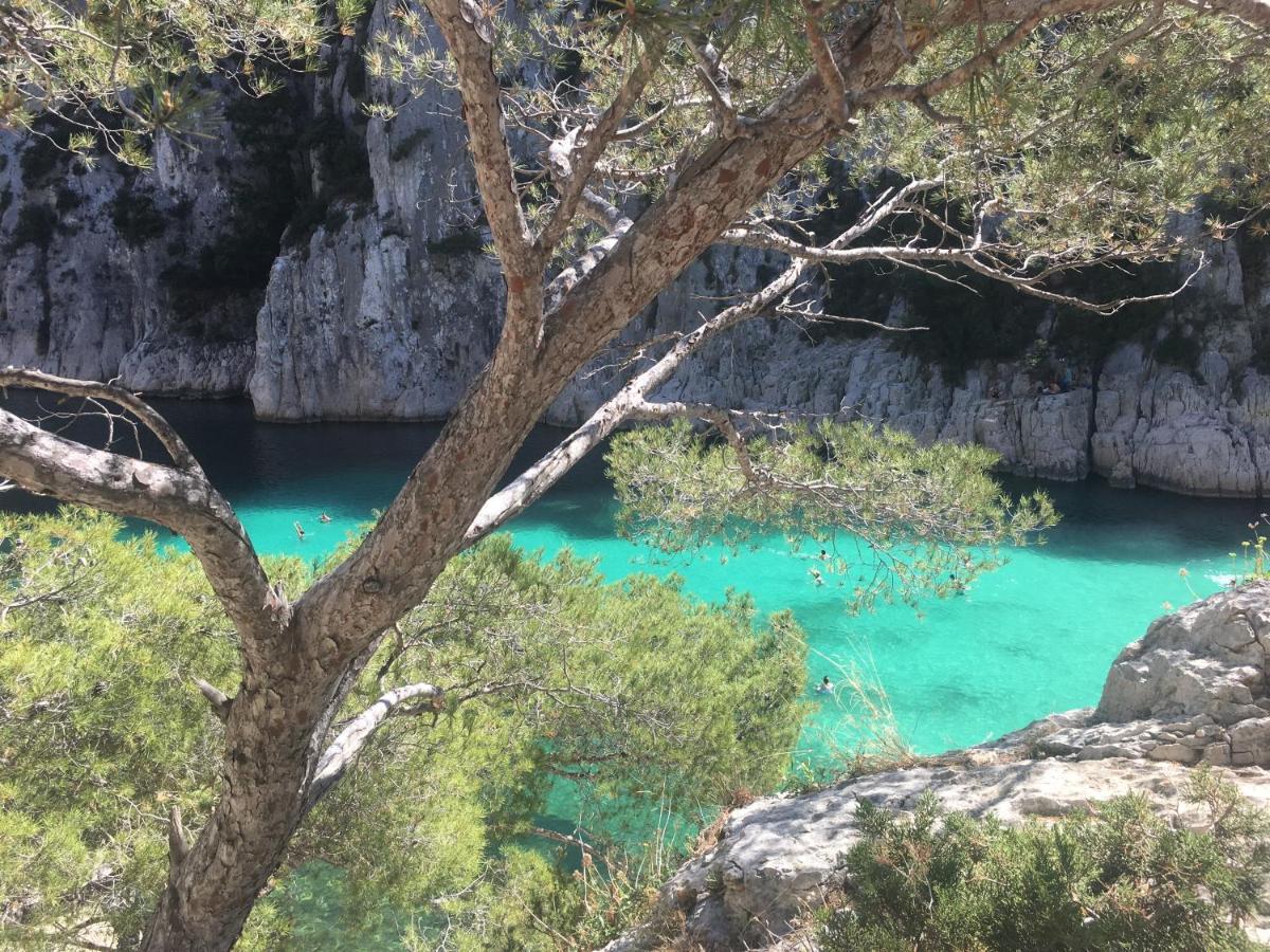 Le Patio Aux Oiseaux Panzió La Ciotat Kültér fotó